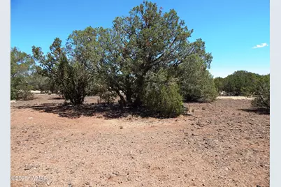 8337 Navajo Drive, Show Low, AZ 85901 - Photo 5