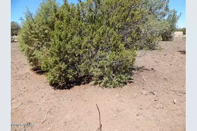 8337 Navajo Drive, Show Low, AZ 85901 - Photo 5