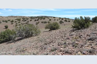 Lot 863 Acr N8497, Concho, AZ 85924 - Photo 1