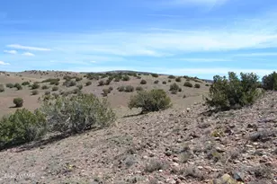 Lot 863 Acr N8497, Concho, AZ 85924 - Photo 1