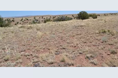 Lot 863 Acr N8497, Concho, AZ 85924 - Photo 13
