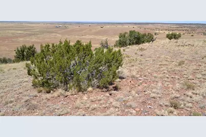 Lot 863 Acr N8497, Concho, AZ 85924 - Photo 15