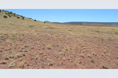 Lot 863 Acr N8497, Concho, AZ 85924 - Photo 11