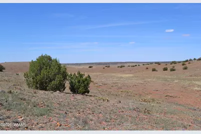 Lot 863 Acr N8497, Concho, AZ 85924 - Photo 3