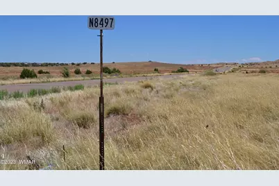 Lot 863 Acr N8497, Concho, AZ 85924 - Photo 19