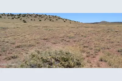 Lot 863 Acr N8497, Concho, AZ 85924 - Photo 9