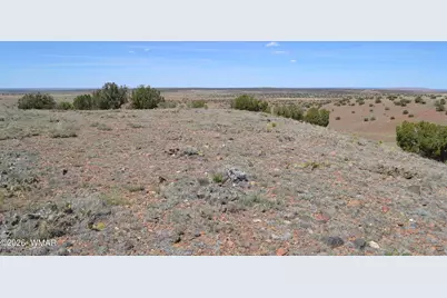 Lot 863 Acr N8497, Concho, AZ 85924 - Photo 7