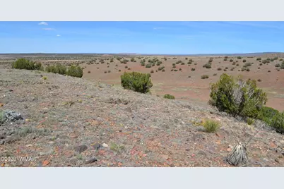 Lot 863 Acr N8497, Concho, AZ 85924 - Photo 5