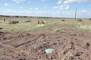 9261 Butler Trail, Snowflake, AZ 85937 - Photo 23