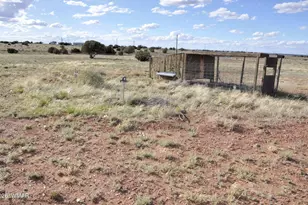 9261 Butler Trail, Snowflake, AZ 85937 - Photo 21
