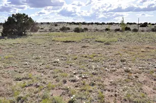 9261 Butler Trail, Snowflake, AZ 85937 - Photo 29