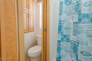 2217 Rodeo Rd, Overgaard, AZ 85933 - Photo 21