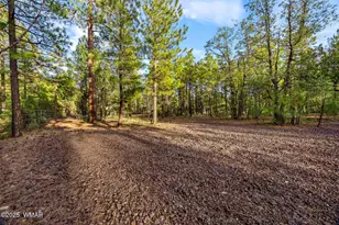 2332 Hall Dr, Lakeside, AZ 85929 - Photo 61