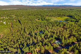 2332 Hall Dr, Lakeside, AZ 85929 - Photo 83