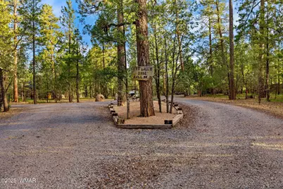 2332 Hall Drive, Lakeside, AZ 85929 - Photo 69