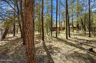 2366 Cedar Ave, Lakeside, AZ 85929 - Photo 27