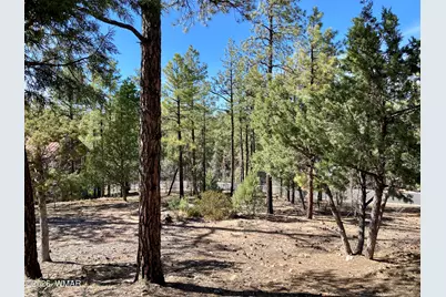 931/901 E Cedar Ridge Run, Show Low, AZ 85901 - Photo 33