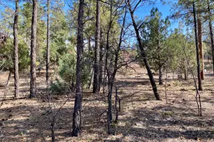 931/901 E Cedar Ridge Run, Show Low, AZ 85901 - Photo 33