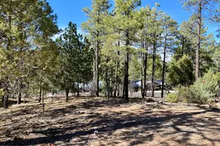 931/901 E Cedar Ridge Run, Show Low, AZ 85901 - Photo 31