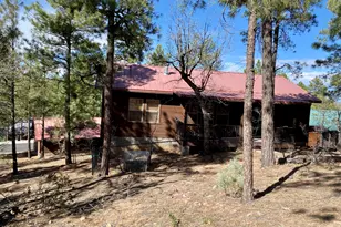 931 E Cedar Ridge Run, Show Low, AZ 85901 - Photo 5