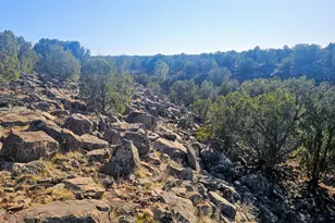 9383 Bald Eagle Rd, Show Low, AZ 85901 - Photo 25