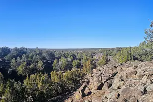 9383 Bald Eagle Rd, Show Low, AZ 85901 - Photo 23