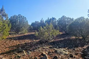 9383 Bald Eagle Rd, Show Low, AZ 85901 - Photo 19
