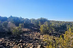 9383 Bald Eagle Rd, Show Low, AZ 85901 - Photo 11