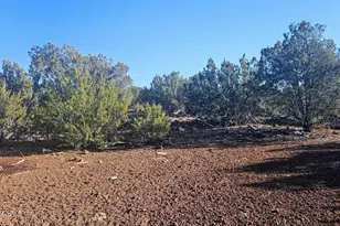 9383 Bald Eagle Rd, Show Low, AZ 85901 - Photo 37