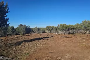 9383 Bald Eagle Rd, Show Low, AZ 85901 - Photo 35