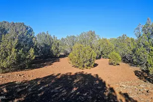 9383 Bald Eagle Rd, Show Low, AZ 85901 - Photo 15