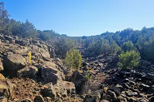 9383 Bald Eagle Rd, Show Low, AZ 85901 - Photo 9