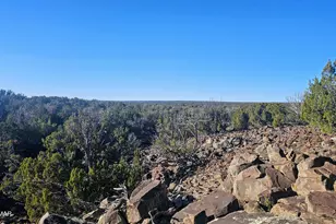 9383 Bald Eagle Rd, Show Low, AZ 85901 - Photo 13
