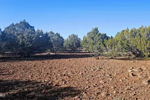 9383 Bald Eagle Rd, Show Low, AZ 85901 - Photo 31