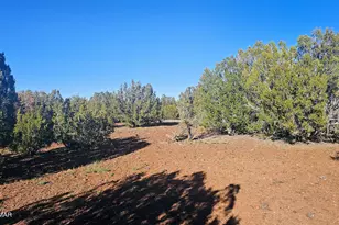 9383 Bald Eagle Rd, Show Low, AZ 85901 - Photo 21