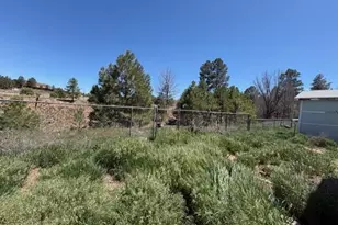 4257 Elk Ln, Show Low, AZ 85901 - Photo 19