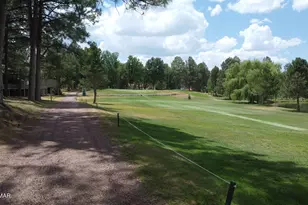 3603 Crown Dancer Dr, Pinetop, AZ 85935 - Photo 25