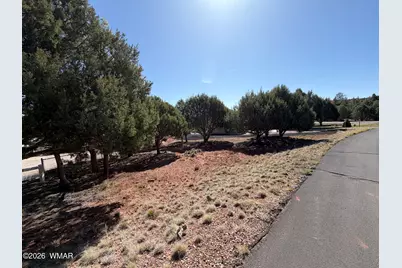 939 Mountain Trail, Show Low, AZ 85901 - Photo 21