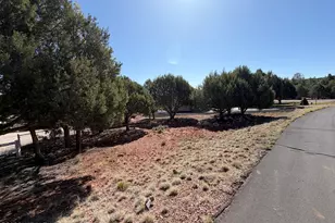 939 Mountain Trail, Show Low, AZ 85901 - Photo 21