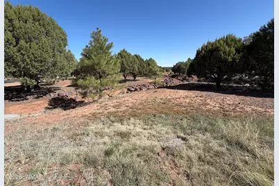 939 Mountain Trail, Show Low, AZ 85901 - Photo 19