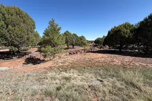 939 Mountain Trail, Show Low, AZ 85901 - Photo 19