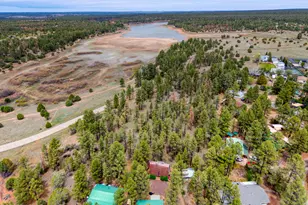 2440 W Thornton Rd, Show Low, AZ 85901 - Photo 5