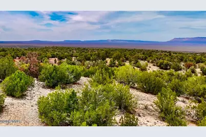 31326 Calle Barril, Seligman, AZ 86337 - Photo 1