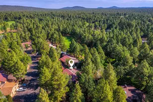 3723 Crown Dancer Dr, Pinetop, AZ 85935 - Photo 39