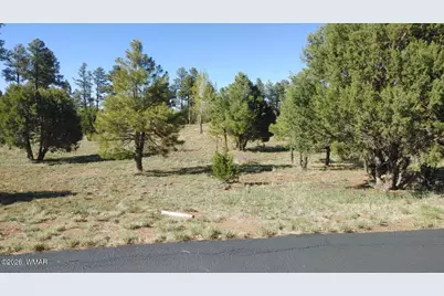 2254 Big Bear Circle, Overgaard, AZ 85933 - Photo 1