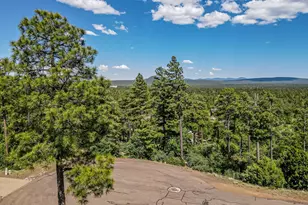 6038 Orion, Lakeside, AZ 85929 - Photo 93