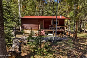 8 Co Rd 1006, Greer, AZ 85927 - Photo 21