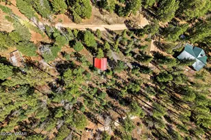 8 Co Rd 1006, Greer, AZ 85927 - Photo 25