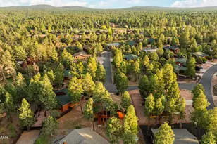 2851 W Mountain Park Rd, Show Low, AZ 85901 - Photo 51