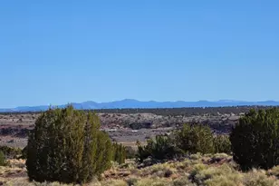 Lot 632 Lazy South Ranch Rd, Concho, AZ 85924 - Photo 3